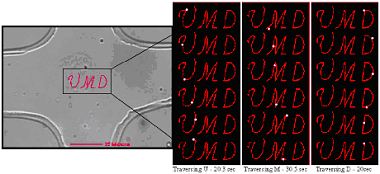 microfluidic devices